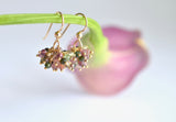 Claudia - Tourmaline, 14k Gold Filled Cluster Earrings